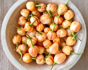 PeppaPeach Stripey Organic Pepper Seeds