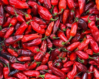 Naga Smooky Rainbow Pepper Seeds Packet - Sweet Hot Pepper Seeds, Great for cooking and eating! Non-GMO Organic Seeds For Gardening