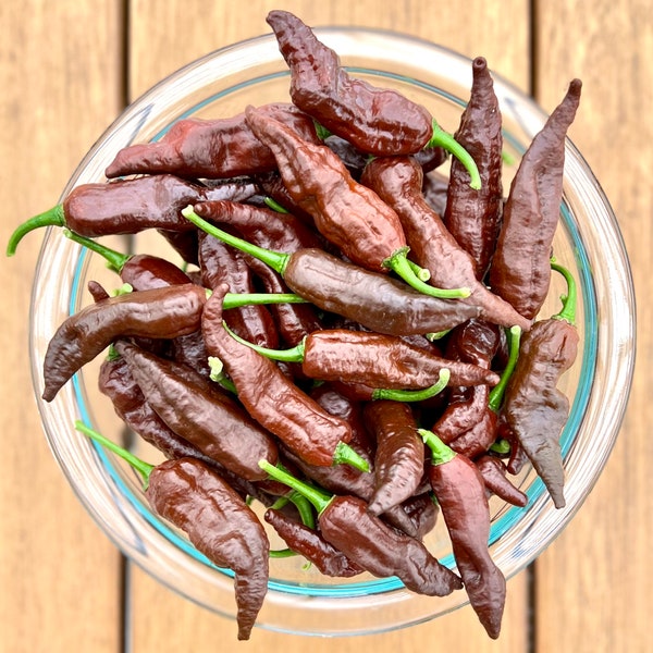 Chocolate Ghostly Jalapeño Pepper Seeds