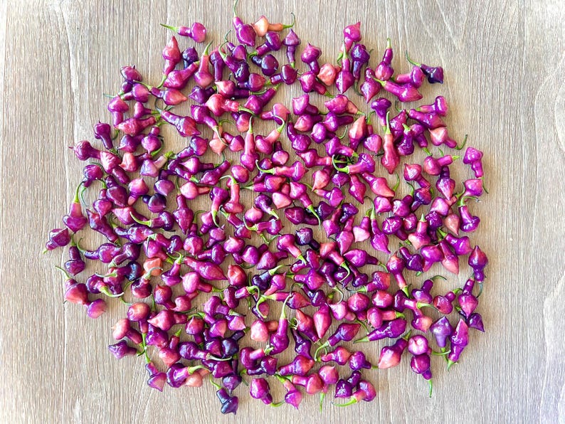 May include: A close-up of a large group of small, purple peppers. The peppers are arranged in a circular pattern on a light brown wooden surface.