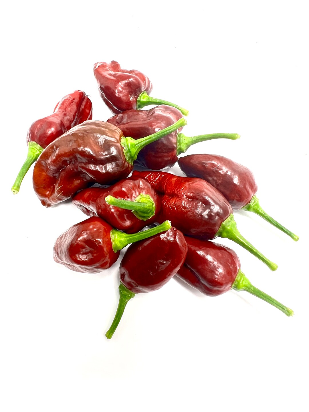 Chocolate Carbonero Pepper Seeds - Etsy