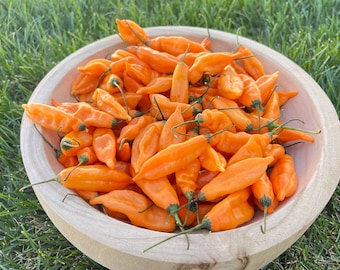 Aji Mango Pepper Seeds Pack - Non-GMO Organic Hot Sweet Pepper. Sweet Spicy Pepper great for gardening gift seeds, cooking!