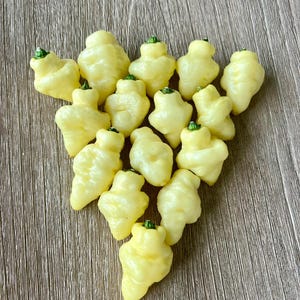 White UFO Hot Pepper Seeds Pack - Non-GMO Organic Hot Pepper. Great for gardening gift seeds, cooking!