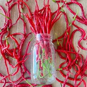 Thunder Mountain Longhorn Pepper Seeds - Non-GMO Organic Mild Pepper. Great for gardening gift seeds, cooking!