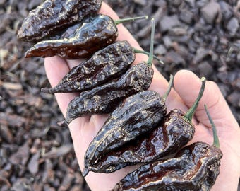 Nazgûl’s Breakfast Superhot Pepper Seeds Pack - Non-GMO Organic Superhot Pepper variety