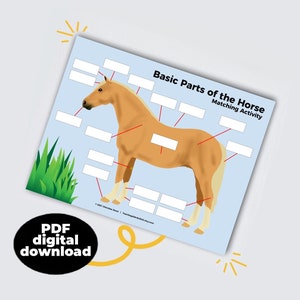 basic parts of the horse matching game  |  teaching tools for adaptive riding instructors