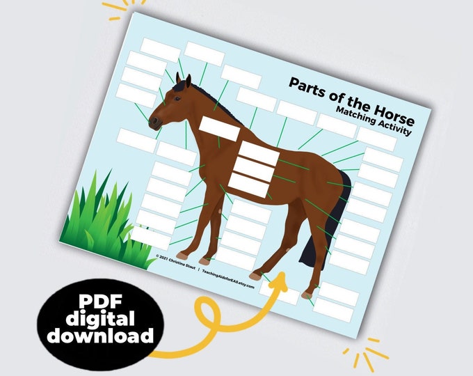 Parts of the Horse Matching Game | Teaching Tools for Adaptive Riding ...