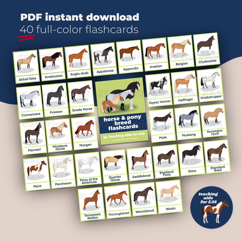 Horse Breed Flashcards 32 Fullcolor Illustrated Flashcards AZ