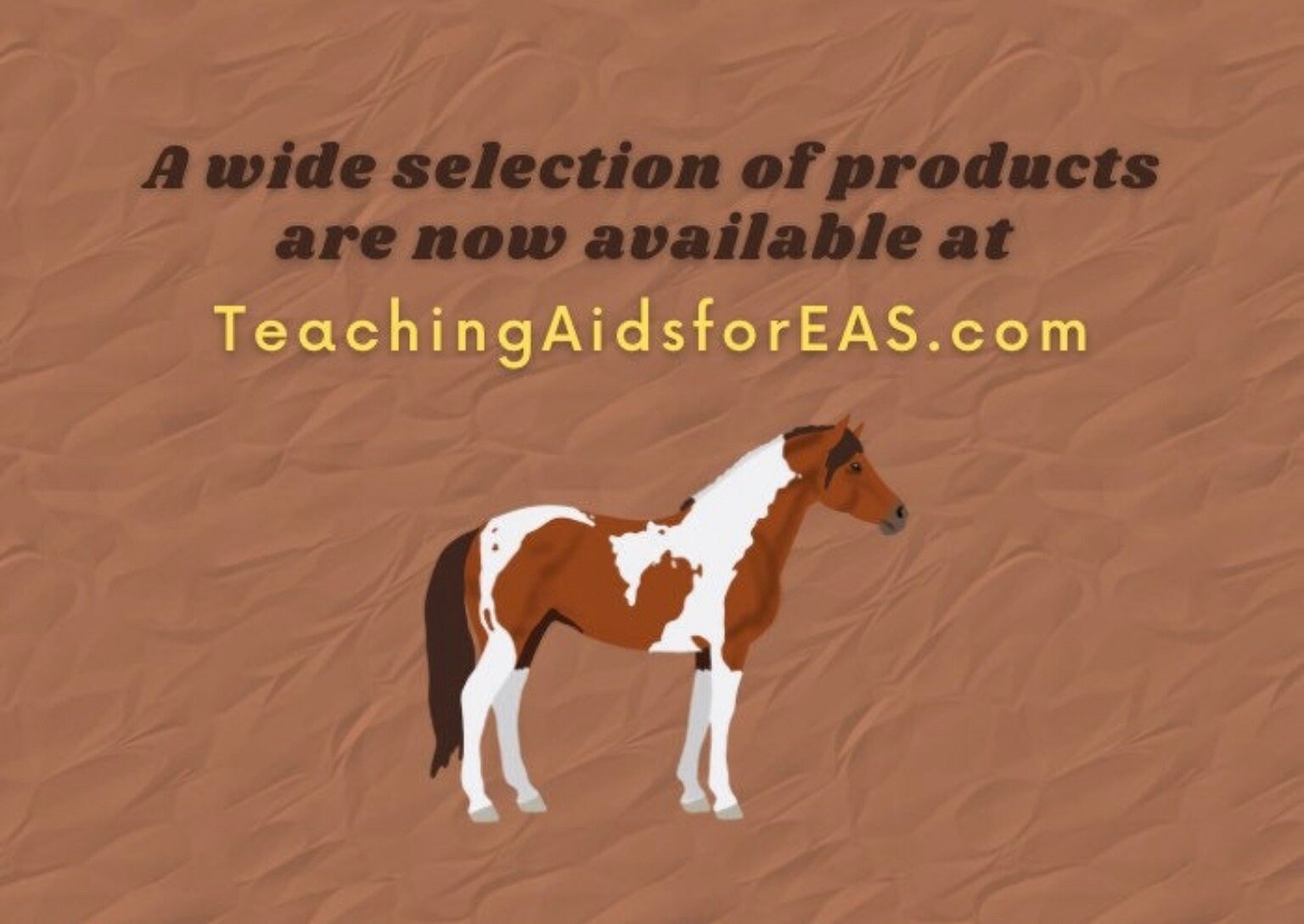 velcro board, parts of the horse – Teaching Aids for EAS
