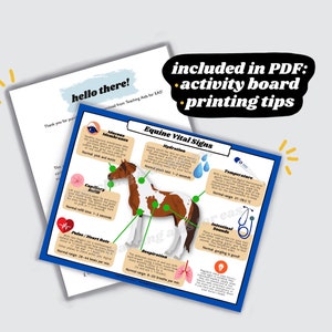 equine vital signs (celsius)  |  printable horsemanship activities  |  teaching tools for adaptive riding instructors