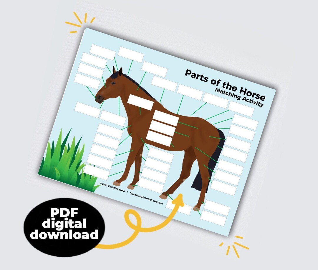 Parts of the Horse Matching Game Teaching Tools for Adaptive Riding