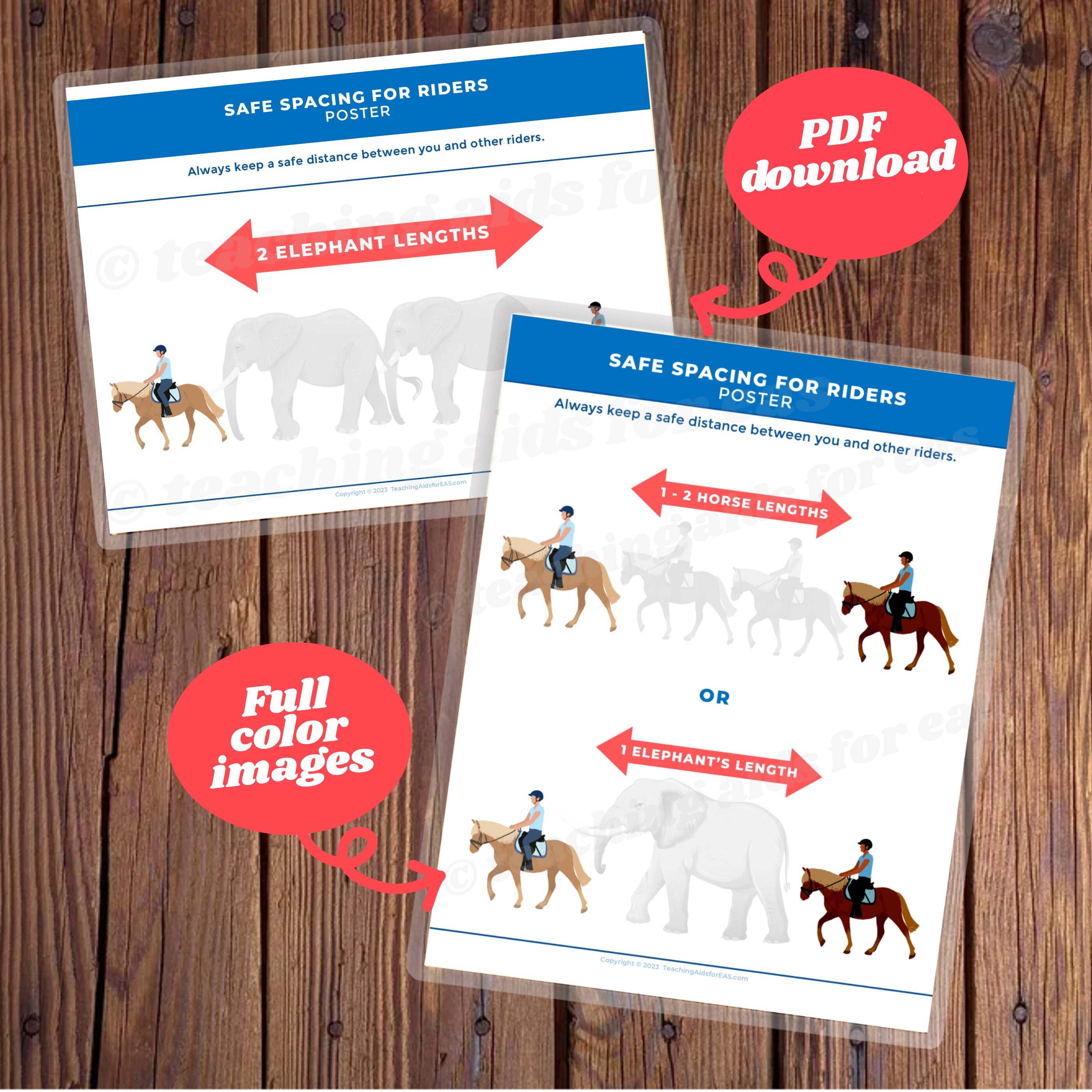 Safe Spacing Arena Etiquette Poster Teaching Tools for Adaptive Riding
