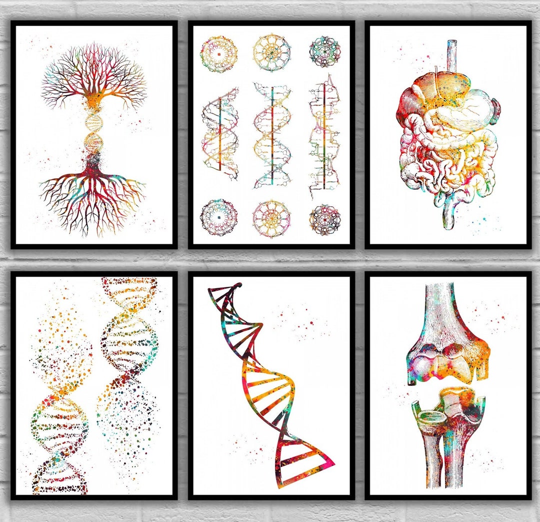 DNA Silk Poster New Stylish High Quality Posters - Etsy