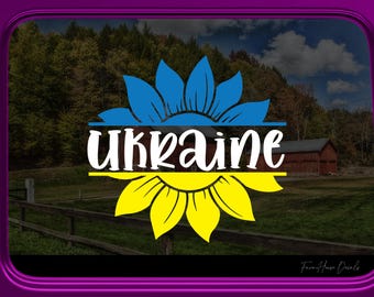 Porte-rayons X Kerr 1020 Par Hawe Solutions - Pour Plaques Films Et Phosphores En Dentisterie