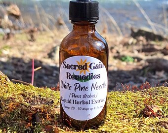 White Pine Needle Tincture (Extract) - Double Extract • Organic, Wild & Fresh