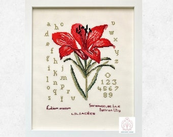 Saffron Lily Cross Stitch Chart: Alphabet and Numbers Sampler (Digital Download)
