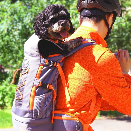 S'woof Dog Backpack for Biking Hiking Front Facing Puppy Etsy