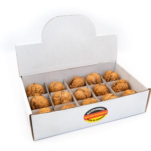 Display Überraschungsnüsse Natur, Gold, Silber, Walnüsse mit Edelsteinen, Mineralien, bunte Edelsteine