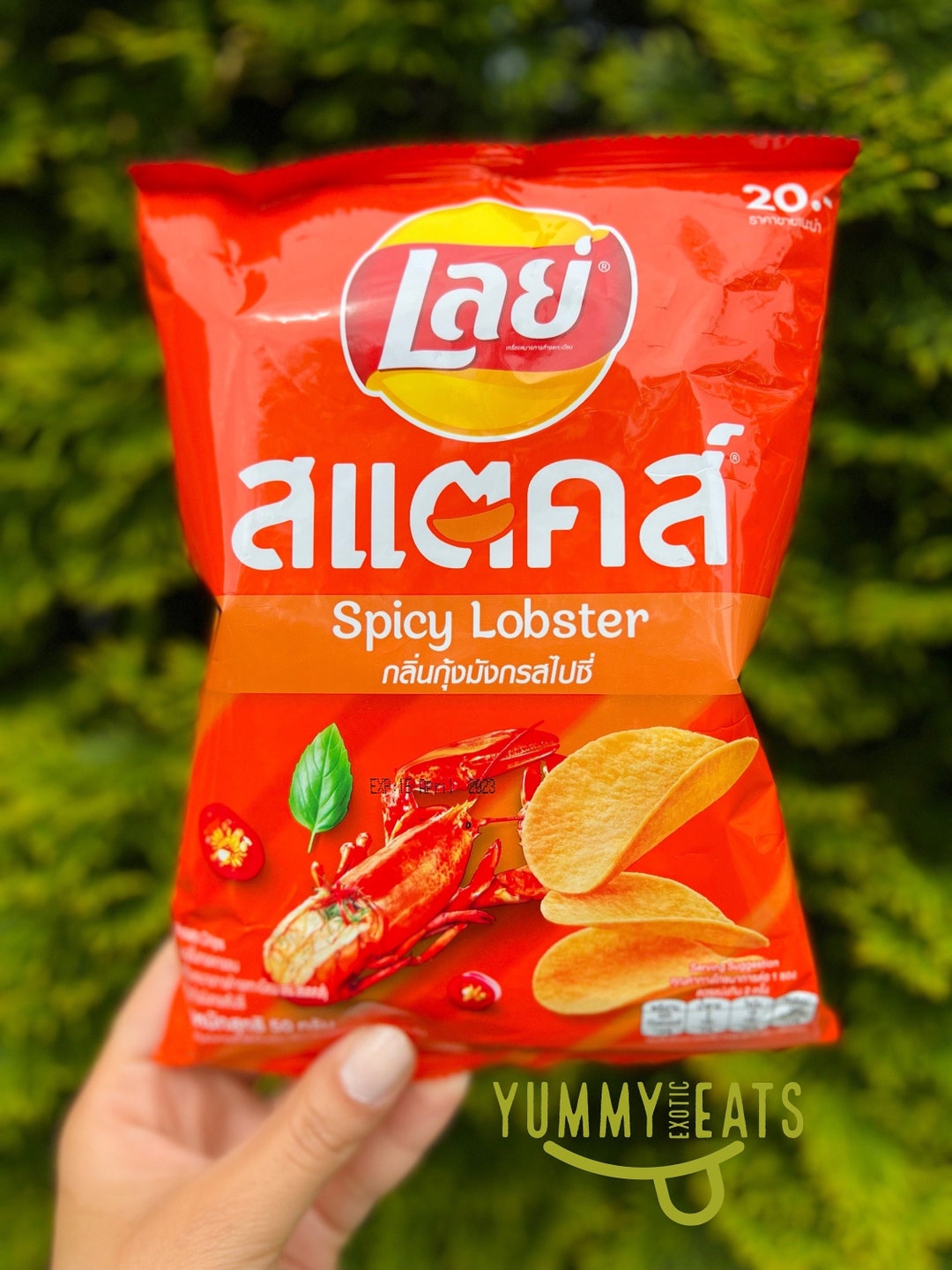 Lay's Spicy Lobster Flavored Chips 50 G Etsy