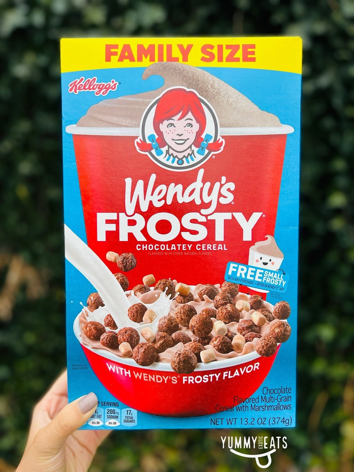 Wendys Frosty Chocolatey Cereal 13.2 Oz Etsy