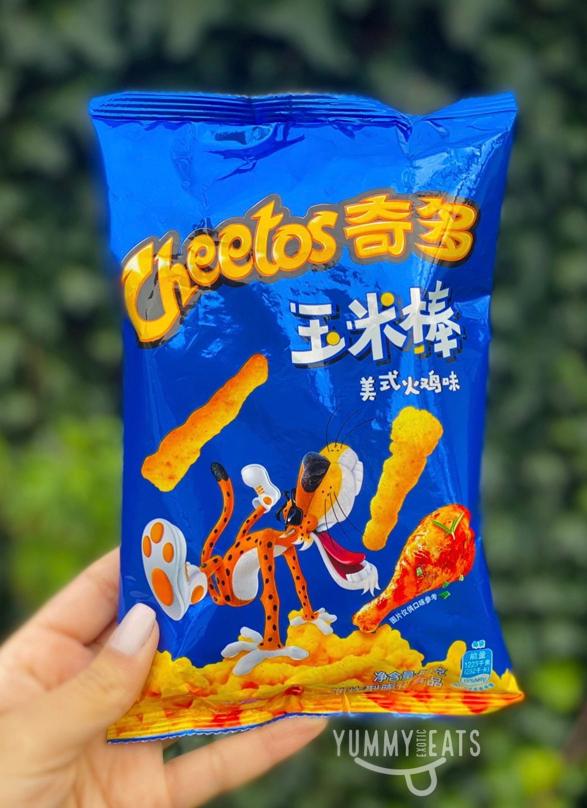 Cheetos Puffs 50g