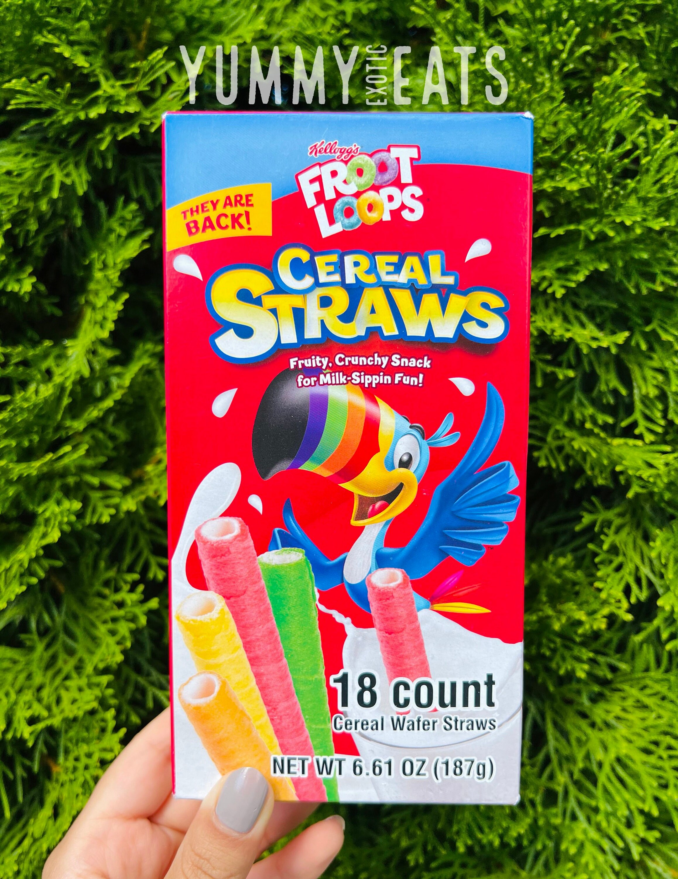 Froot Loops Cereal Straws