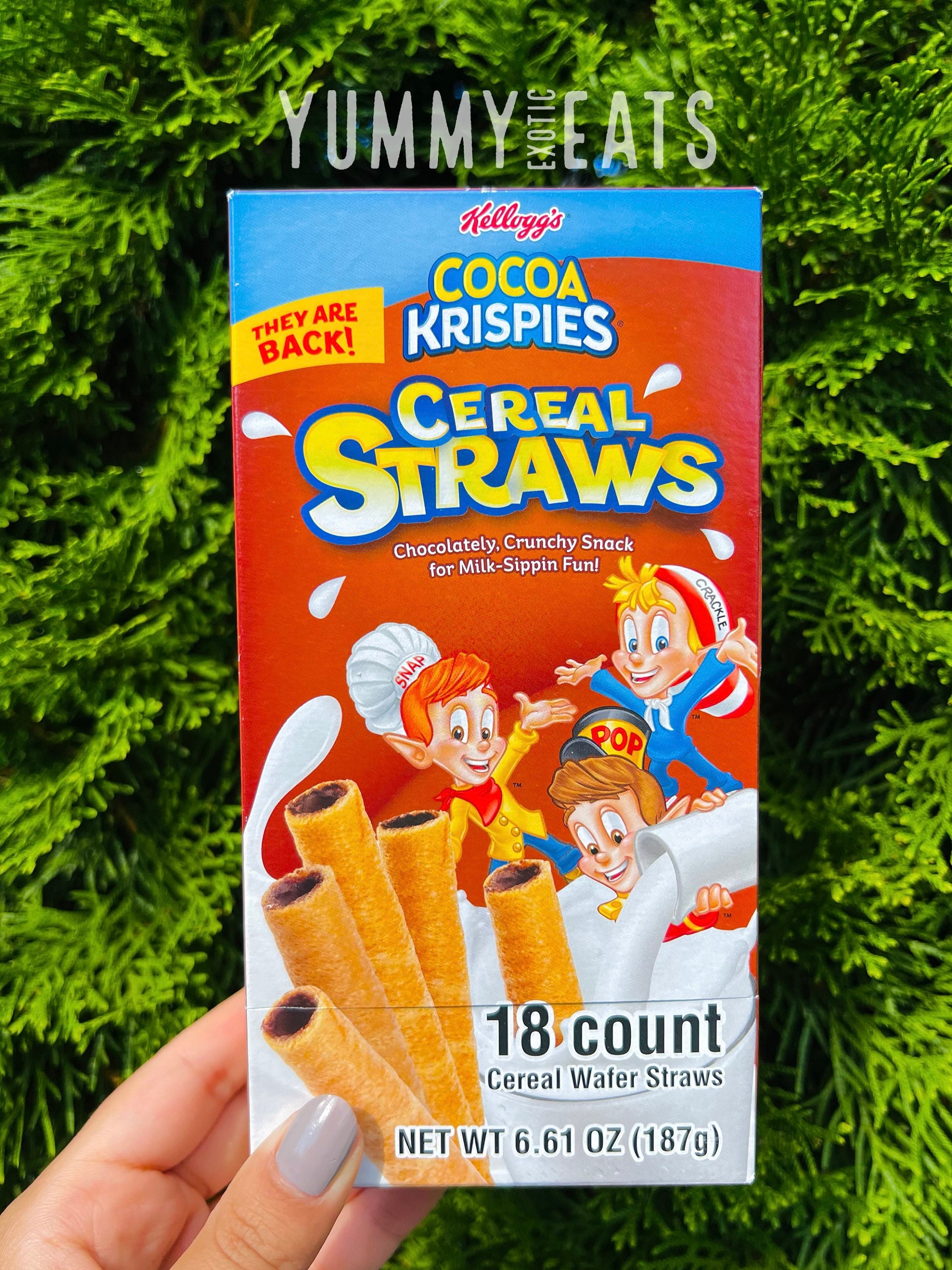 Cocoa Krispies Cereal Straws