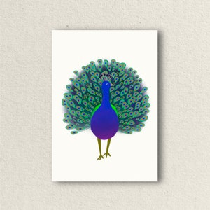 Carte de vœux Paon, fierté, carte postale A6, carte postale avec illustration faite à la main