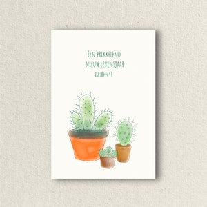 Verjaardagskaart cactus, A6 postkaart, ansichtkaart met handgemaakte illustratie
