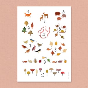 Cartel de otoño, regalo de maternidad, regalo para niños pequeños, cartel de la habitación del bebé, flashcard, aprender a contar, decoración de la pared de la habitación del bebé, decoración de la habitación del bebé, cartelA4