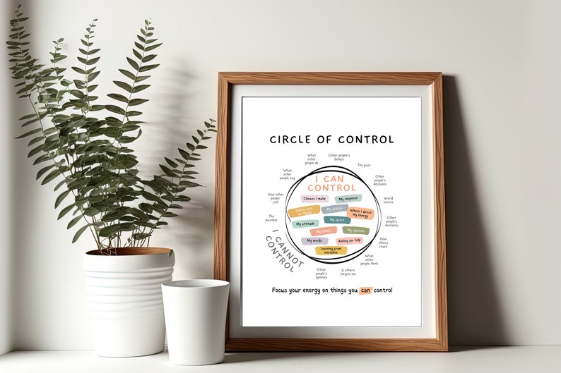 Circle of control, what I can control, what I cannot control, things you can control, things I can control poster