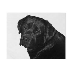 Black Labrador Image On Canvas, Lab Print, Labrador Retriever Home Decor, Black And White Labrador Artwork, Gift For Lab Lover, Dog Wall Art