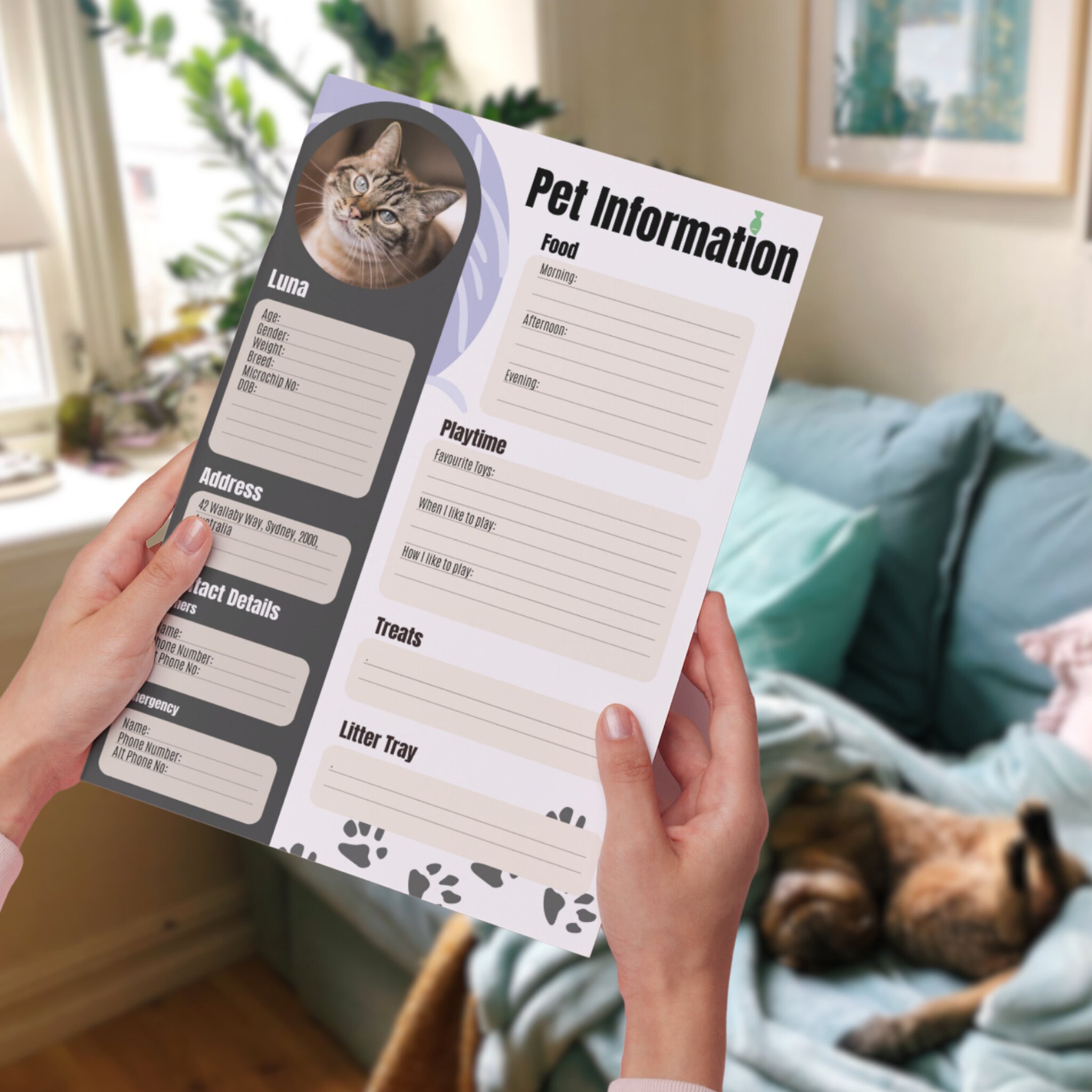 Pet Information Sheet - Canva Template - Pet Sitting (cat) - Etsy UK