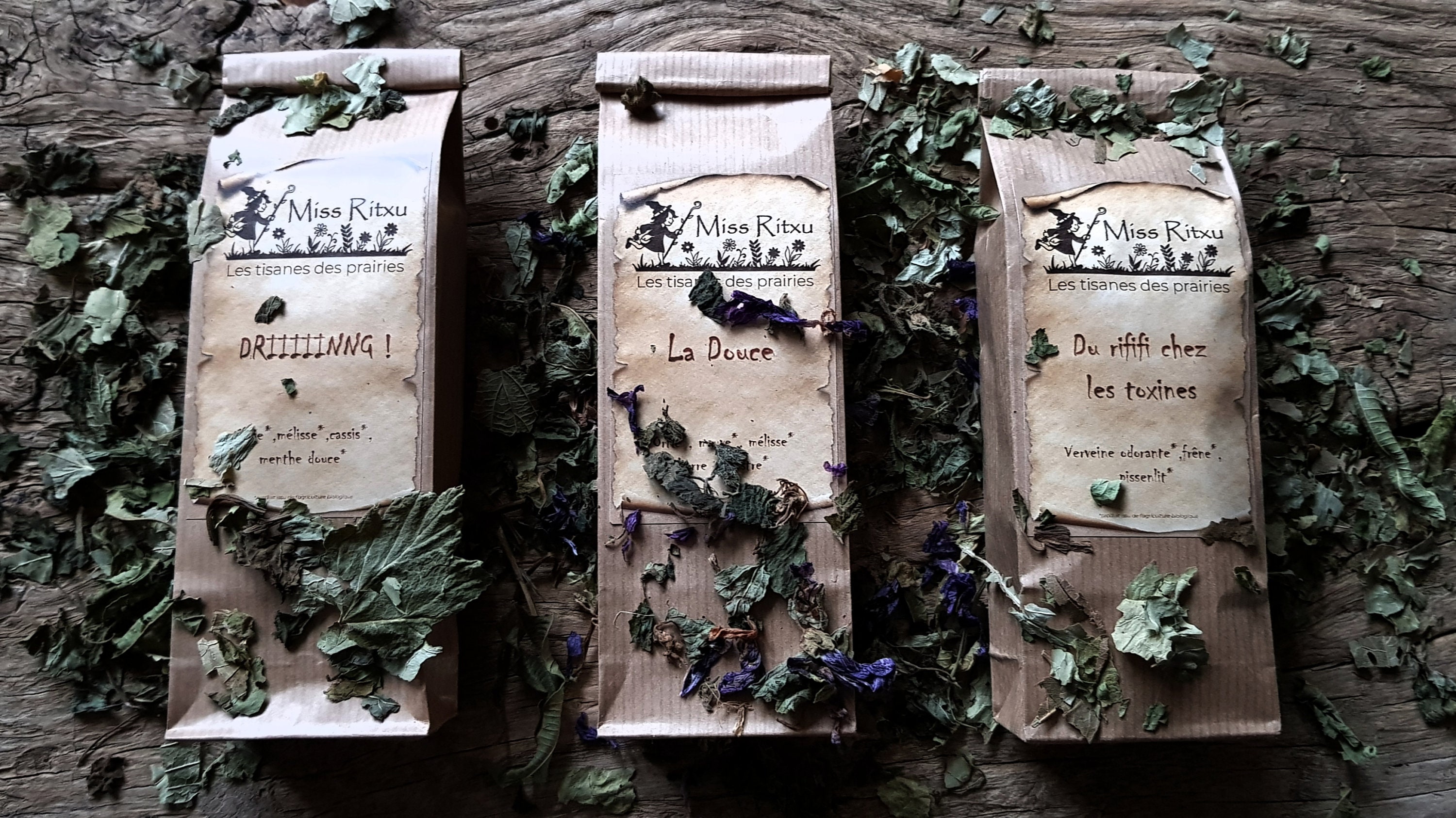 Pack Découverte de Tisanes Biologiques Vrac 3 Sachets 10G