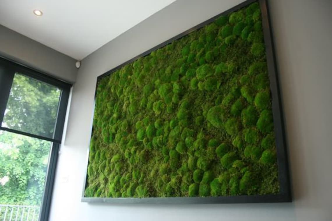 Bun Moss Picture, Moss Square, Moss Rectangle Moss Art, Moss Wall