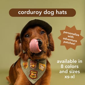 May include: A brown dog wearing a green corduroy hat and bandana with patches that say "Hot Dog", "Snack Master", and "Friend Forest". The image text says "corduroy dog hats", "personalize with adventure patches!", and "available in 8 colors and sizes xs-xl".