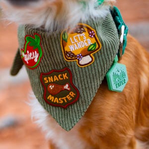 May include: Green corduroy dog bandana with embroidered patches. Patches include a red tomato with "Spicy", a mushroom with "Let's Wander", and a "Snack Master" badge. A green collar with a "Tater" tag is also visible.