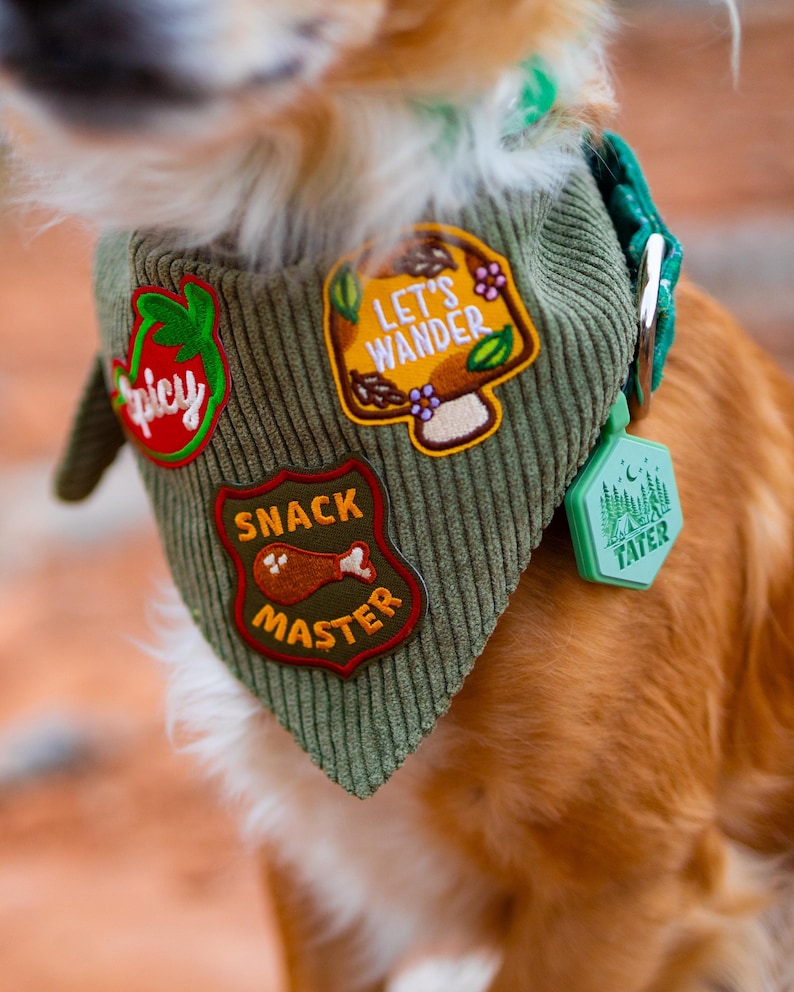 May include: Green corduroy dog bandana with embroidered patches. Patches include a red tomato with "Spicy", a mushroom with "Let's Wander", and a "Snack Master" badge. A green collar with a "Tater" tag is also visible.