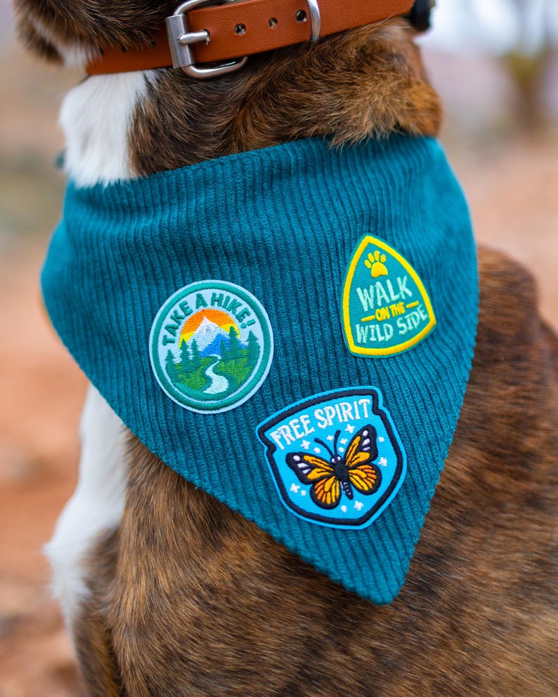 May include: A teal corduroy dog bandana with three embroidered patches. The patches read "Take a Hike!", "Walk on the Wild Side", and "Free Spirit" with a butterfly illustration. The bandana is around a dog's neck, secured by a brown leather collar.