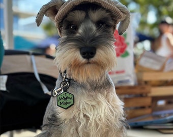 Corduroy Dog Hat With Ear Holes For Small Medium Large Dogs - Baseball Hat Dogs - Summer Sun Hat - Cute Dog Hat - Adjustable Hats For Dogs