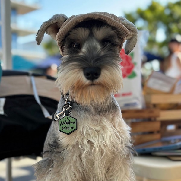 Chapeau pour chien en velours côtelé avec trous d'oreille pour petits chiens de taille moyenne - Chapeau de baseball pour chiens - Chapeau de soleil d'été - Chapeau pour chien mignon - Chapeaux réglables pour chiens