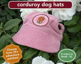 Corduroy Dog Hat With Adventure Patches - Adjustable Hat for Small to X-Large Breeds, personalize with scout badge, great for outdoors dogs