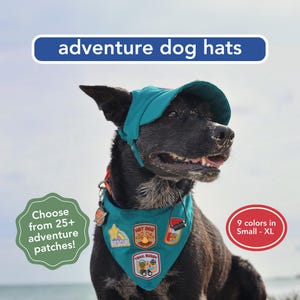 May include: A black dog wearing a teal hat and bandana with adventure patches. The image includes text that says "adventure dog hats", "Choose from 25+ adventure patches!", and "9 colors in Small - XL".