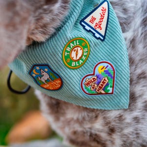 May include: A light teal corduroy dog bandana adorned with colorful embroidered patches. Patches include text that reads "The Goodest", "Trail Blazer", "Born to be Wild", and "Wild at Heart". The bandana is on a dog.