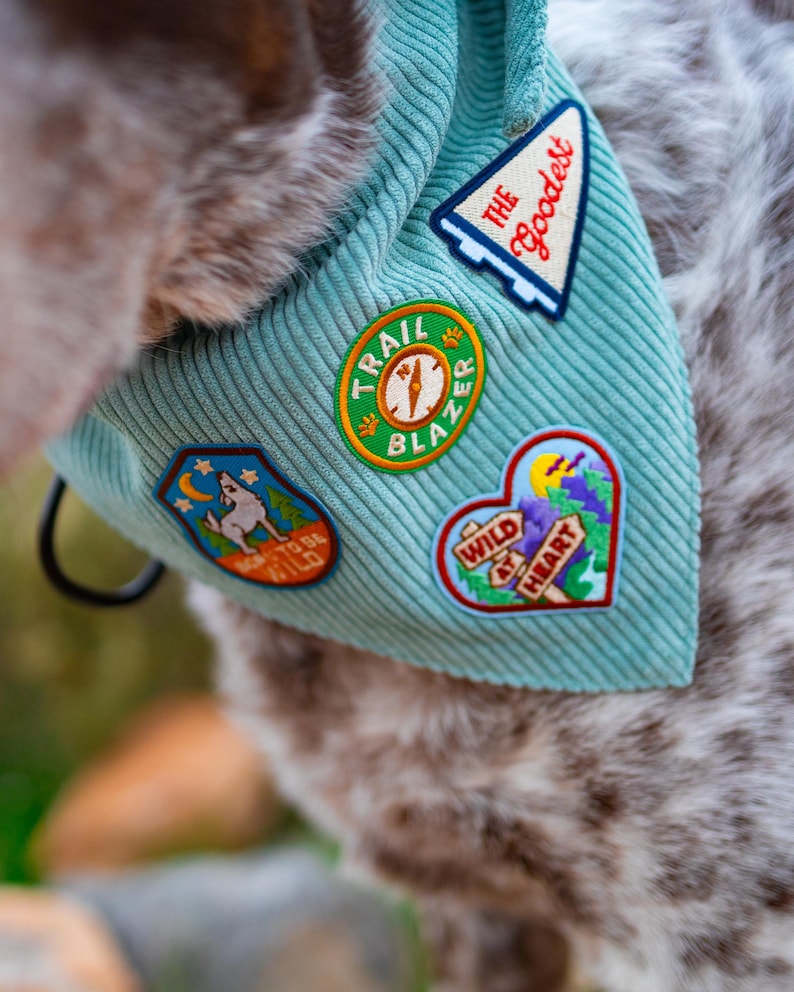 May include: A light teal corduroy dog bandana adorned with colorful embroidered patches. Patches include text that reads "The Goodest", "Trail Blazer", "Born to be Wild", and "Wild at Heart". The bandana is on a dog.