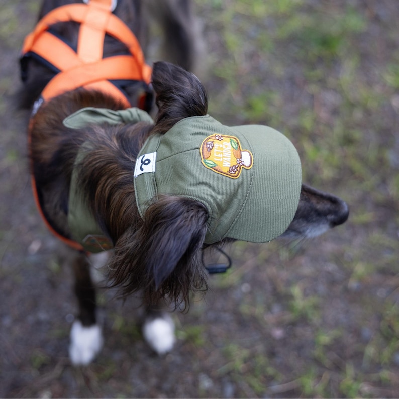 Puede incluir: Un gorro verde oliva para perro con visera curva y un parche que dice "LET'S WANDER". El gorro lo lleva un perro con pelo oscuro y patas blancas. Un arn&eacute;s naranja es visible en el fondo.