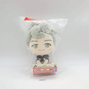 May include: A plush doll of a person with light green hair and green eyes, packaged in a clear plastic bag. The doll is wearing a black and white patterned shirt. A small rectangular tag at the base reads "Tiny TAN Dynamite" and "RM".
