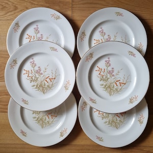 Ensemble de 6 assiettes, vintage British Marlborough | Anglais Chine des années 1960 | Motif fleurs sauvages | Vaisselle de salle à manger en porcelaine fine Royal Grafton