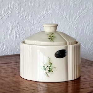 Jarra vintage de porcelana Parian con tapa, ataúd Hawthorne, Donegal, Irlanda, maceta floral acanalada, bote de cerámica irlandesa