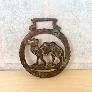 Medallón antiguo de latón con forma de caballo, motivo de camello y desierto, inglés de los años 50, recuerdo ecuestre
